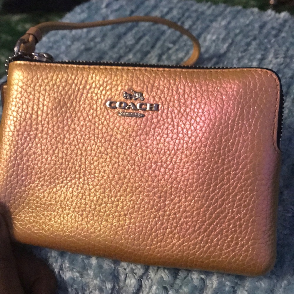 Hologram zip bag - rare color